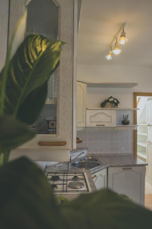 Apartment Amak With Free Onsite Parking Bovec Ngoại thất bức ảnh